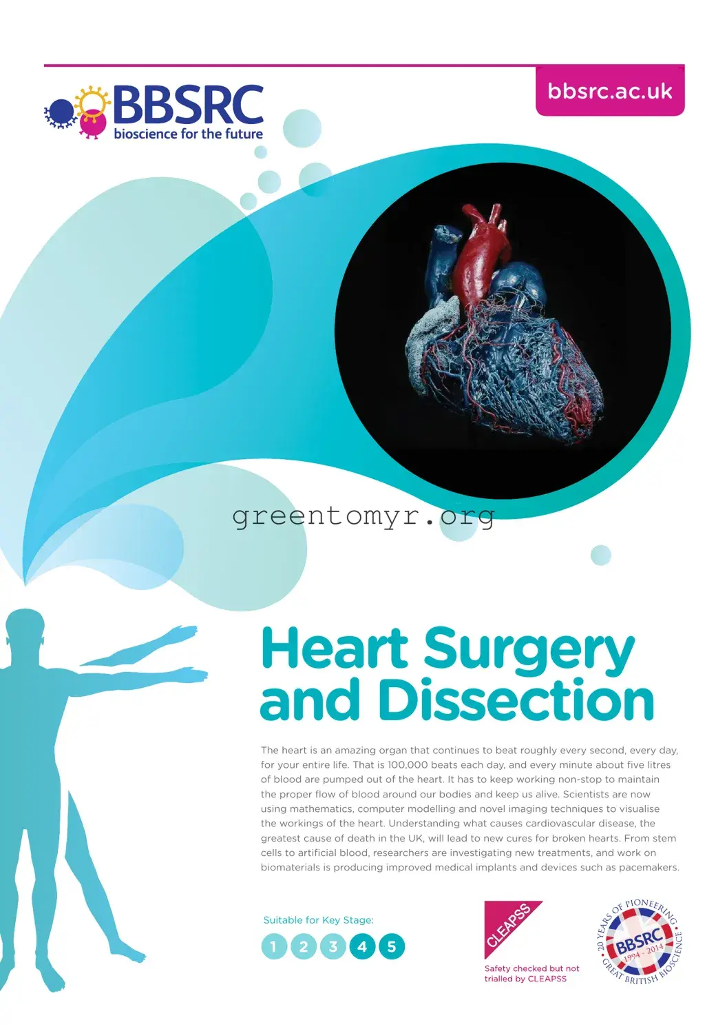 Fill in a Valid Anatomy Lab Heart Dissection Template