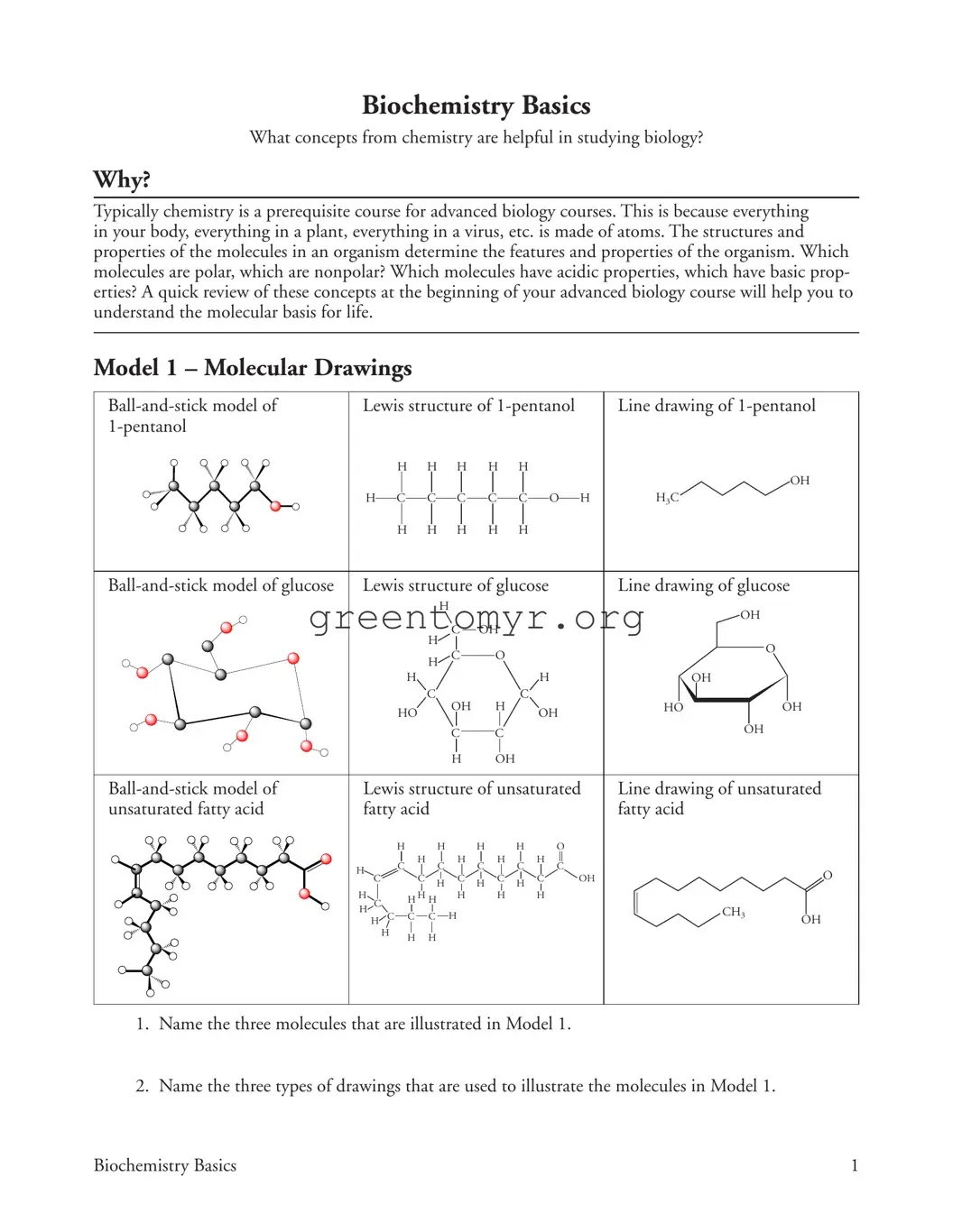 Fill in a Valid Biochemistry Basics Template