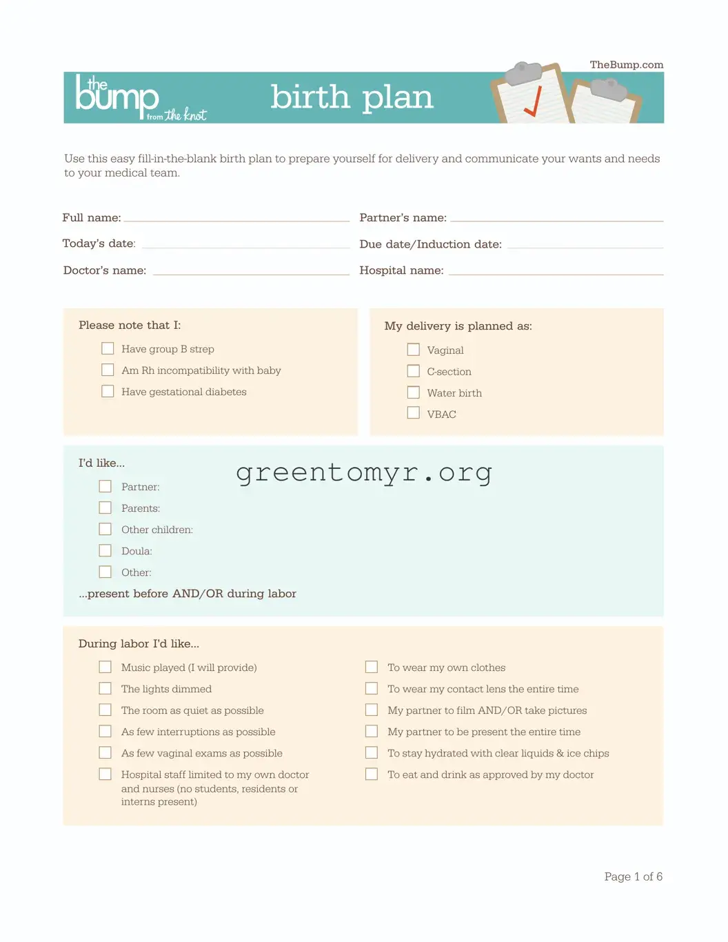 Fill in a Valid Birth Plan Template