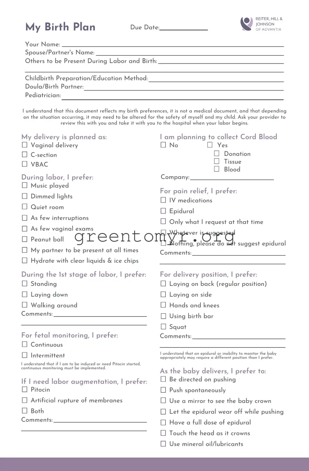 Fill in a Valid Birth Plan Worksheet Template