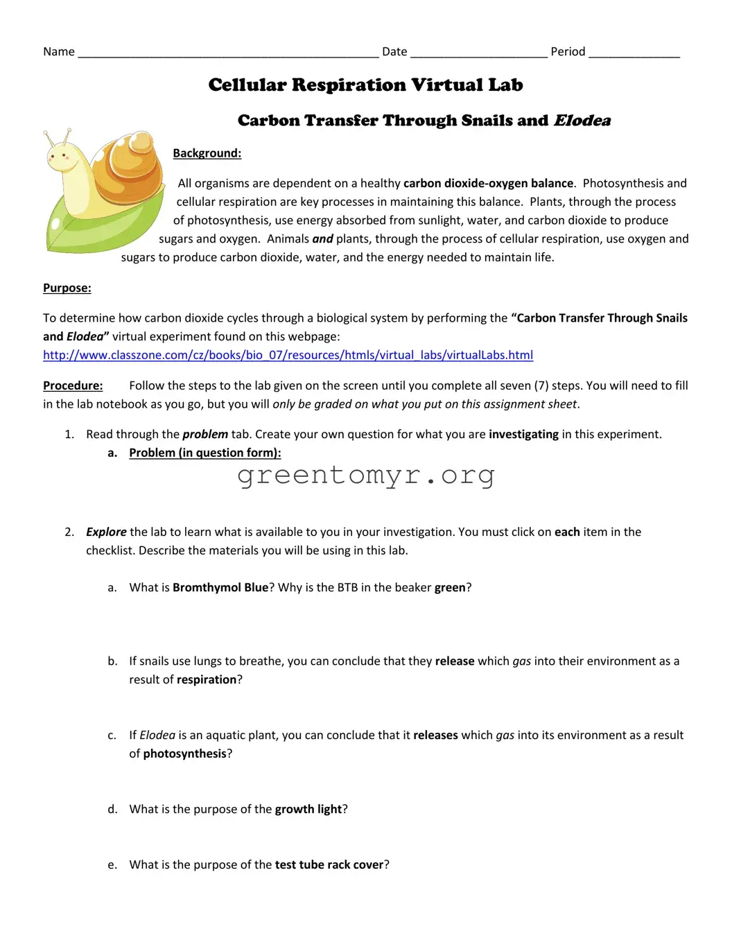 Fill in a Valid Cellular Respiration Virtual Lab Template