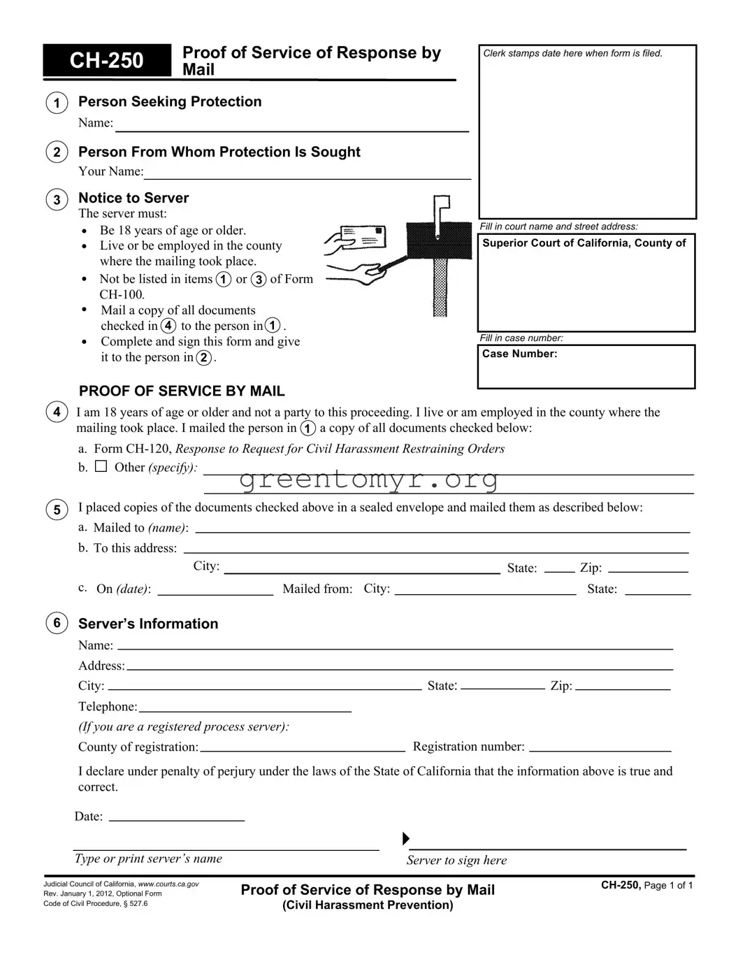 Fill in a Valid Ch 250 Template
