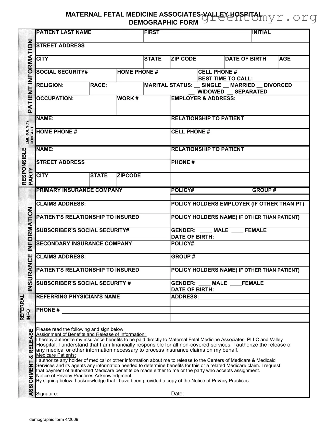 Fill in a Valid Patient Demographics Template