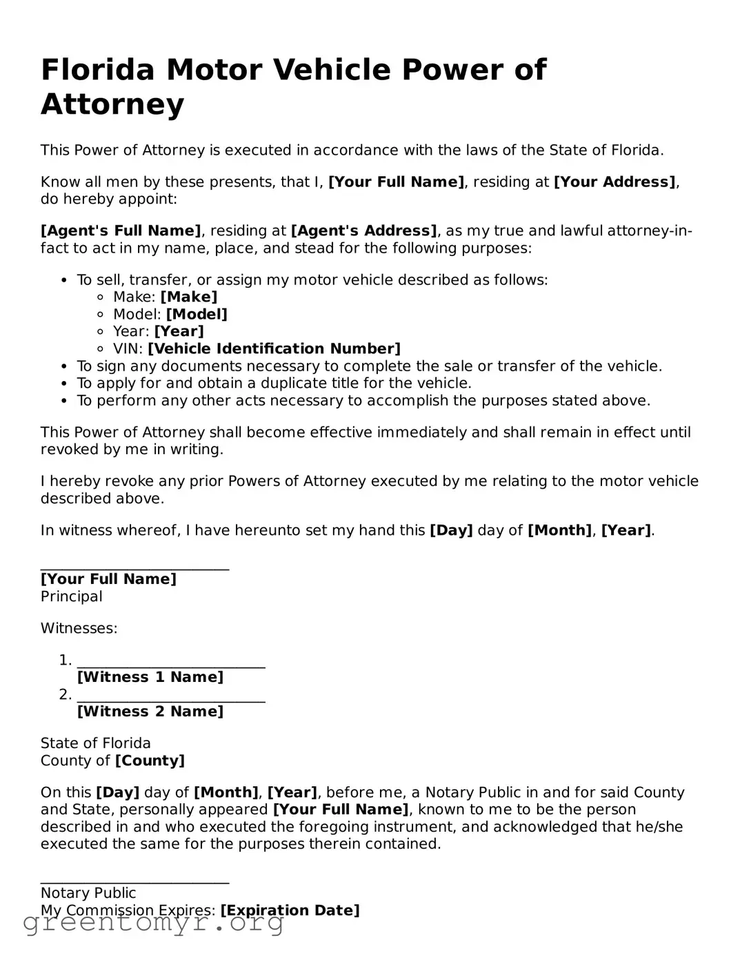 Motor Vehicle Power of Attorney Form for the State of Florida