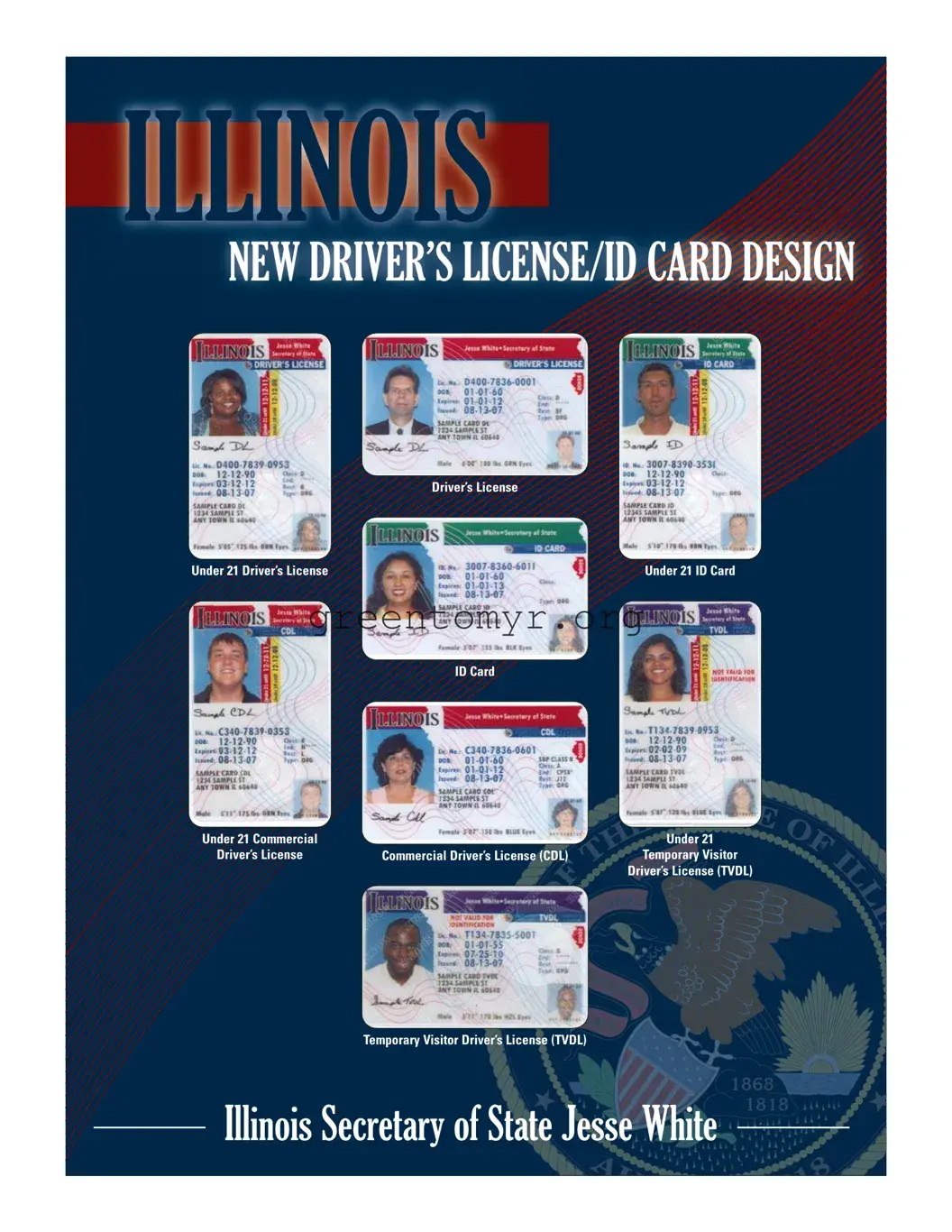 Fill in a Valid Illinois Drivers License Template