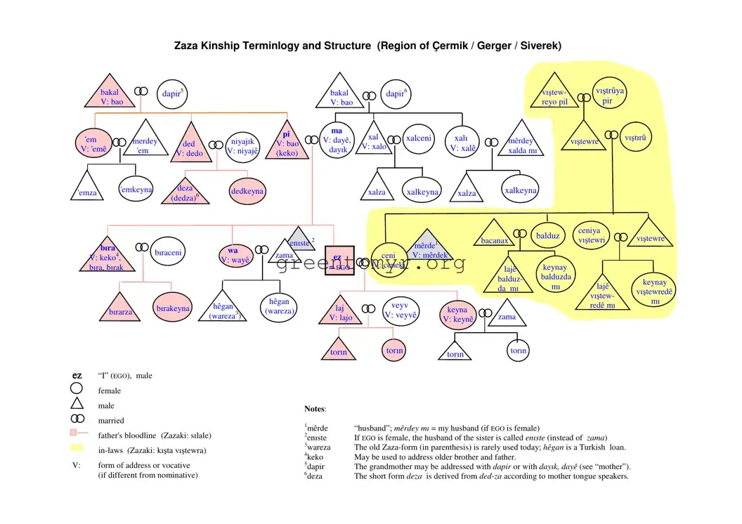 Fill in a Valid Kinship Tree Diagram Template