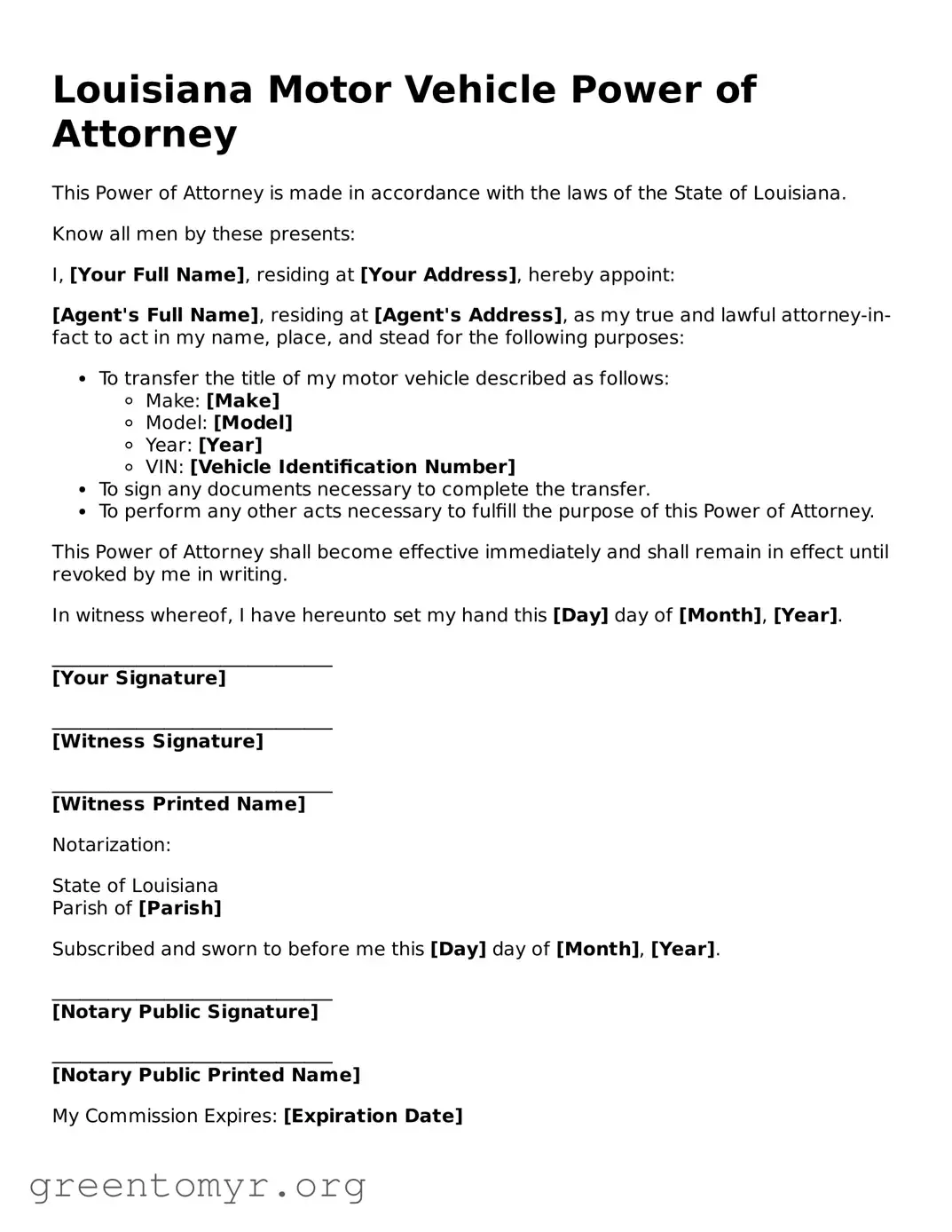 Motor Vehicle Power of Attorney Form for the State of Louisiana