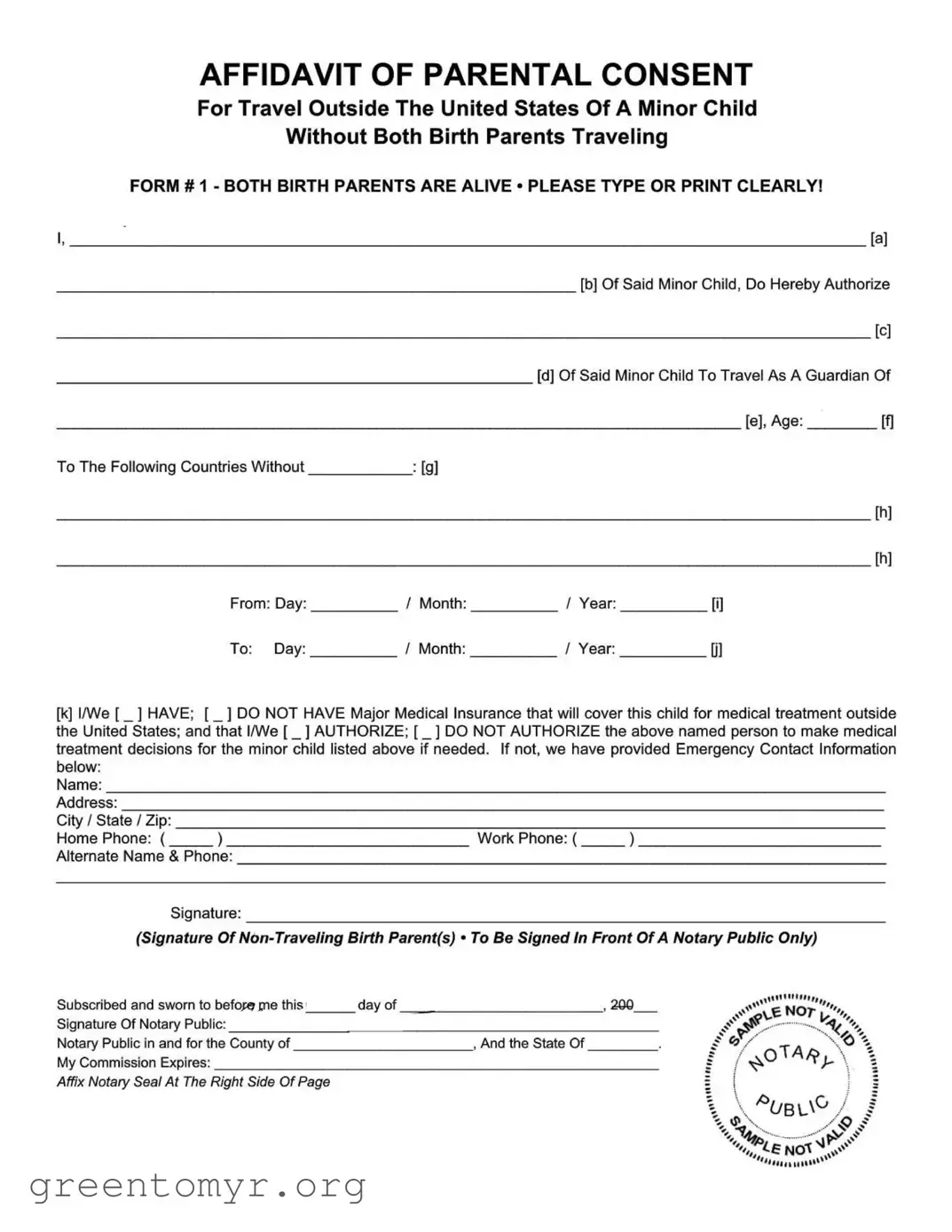 Fill in a Valid Minor Child Sample Template