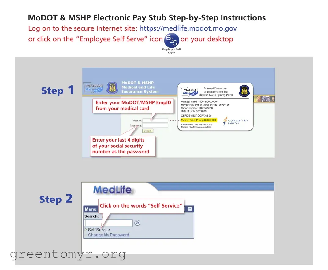 Fill in a Valid Medlife Modot Mo Gov Template