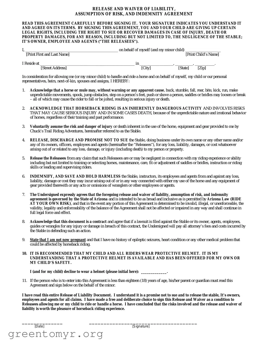 Fill in a Valid Horse Riding Template