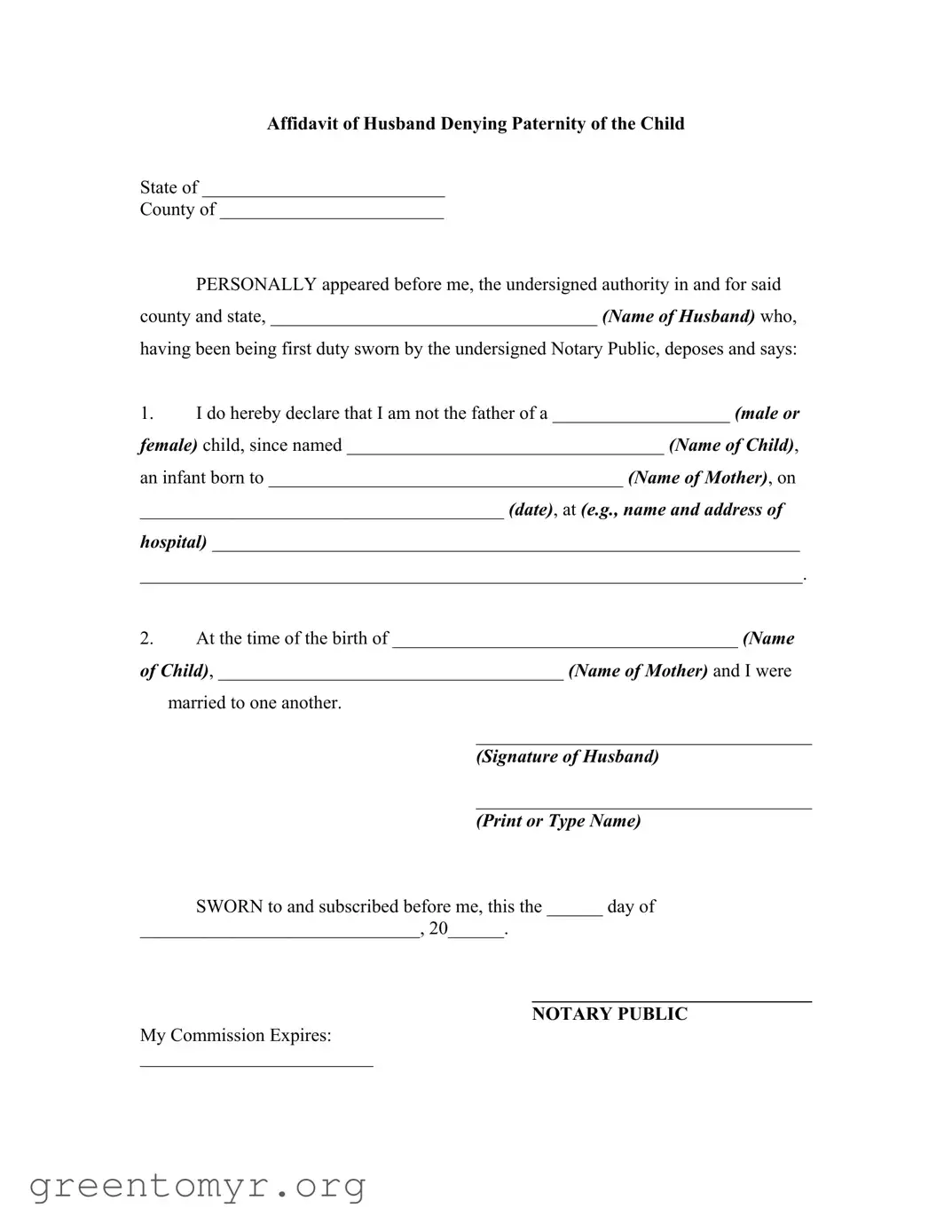 Fill in a Valid Affidavit Denying Paternity Template