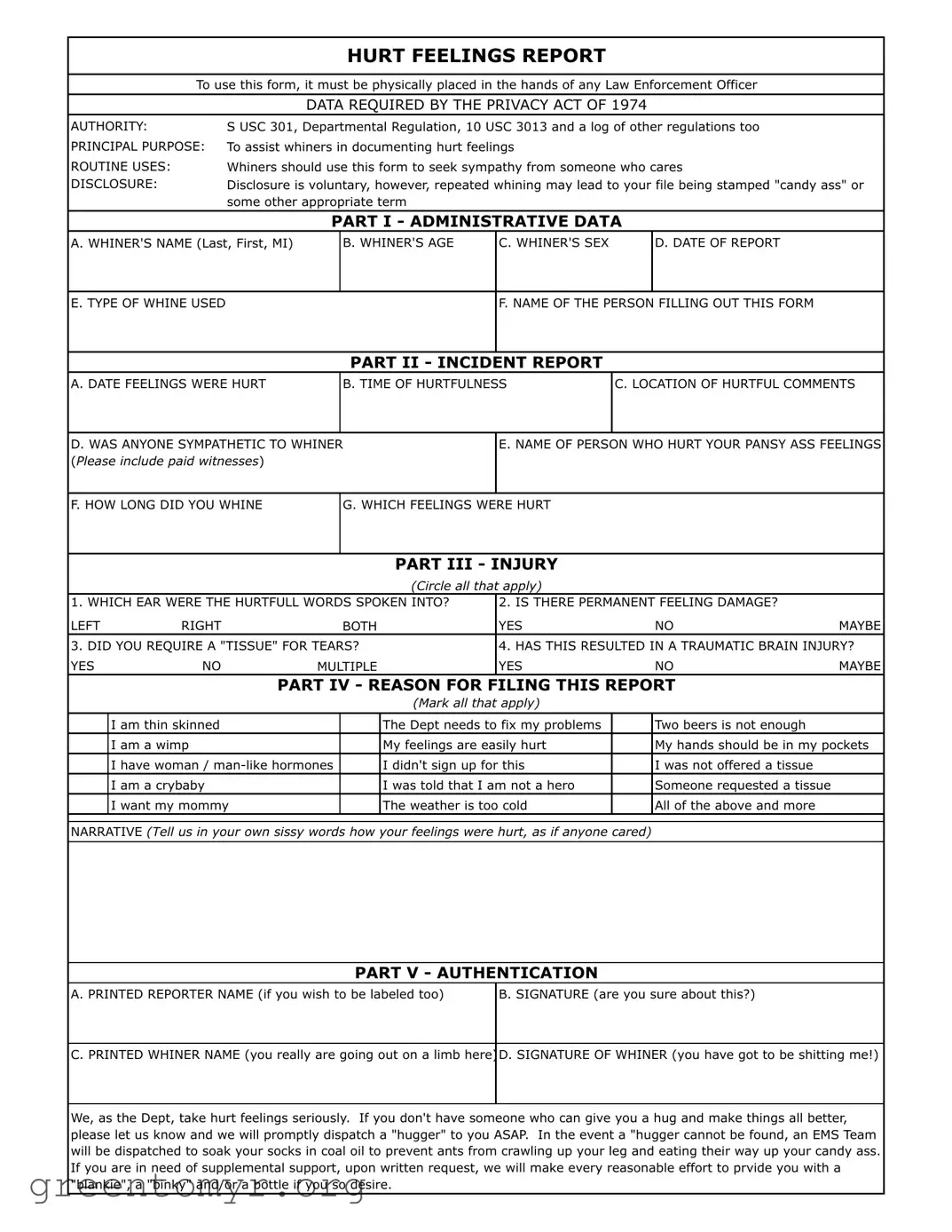 Fill in a Valid Hurt Feelings Report Template